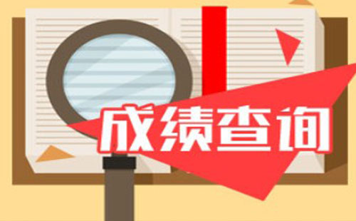 全國稅務師職業(yè)資格考試成績查詢官網 查詢方法