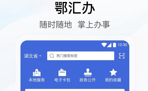 武漢鄂匯辦app醫(yī)保不能繳費是為什么