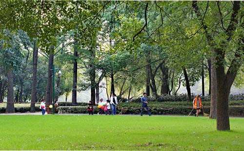 解放公園首造江城人工濕地 生態(tài)之美俘獲人心