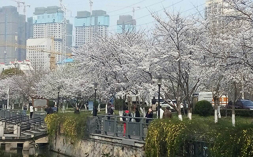 江漢區(qū)常青街新建停車場停車位（施工時間）