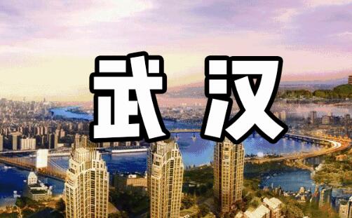 2020武漢市除抗疫等和特種車輛外其他機(jī)動(dòng)車一律禁行