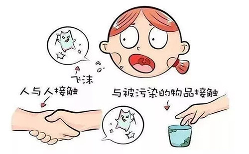 腺病毒會如何傳播 怎樣預(yù)防感染腺病毒