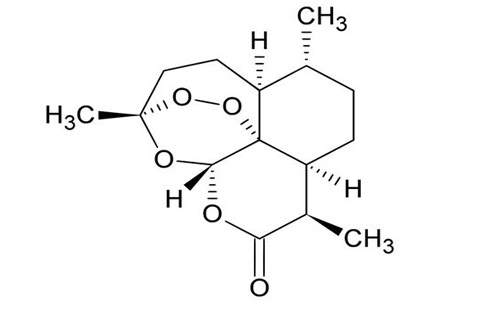 屠呦呦團隊新突破 青蒿素系統(tǒng)性紅斑狼瘡治療