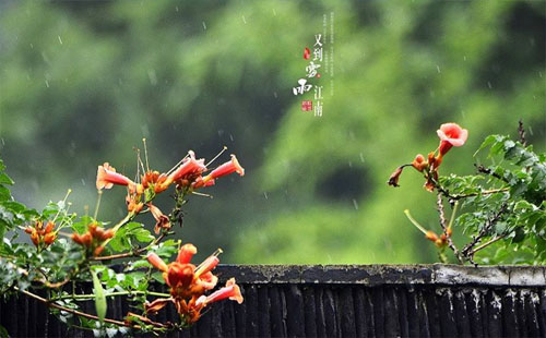 武漢夏季養(yǎng)生小妙招 夏天吃什么好