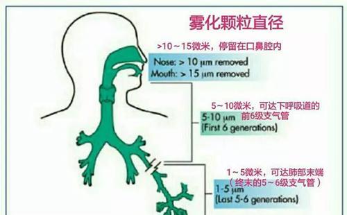 2021年霧化吸入式新冠疫苗最新進(jìn)展