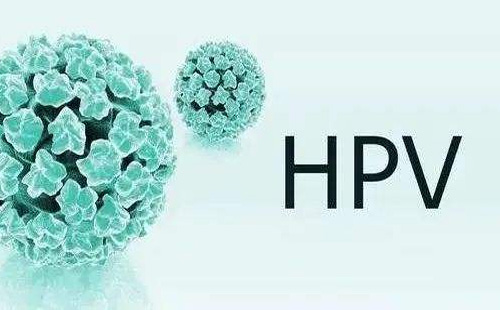 hpv1.jpg