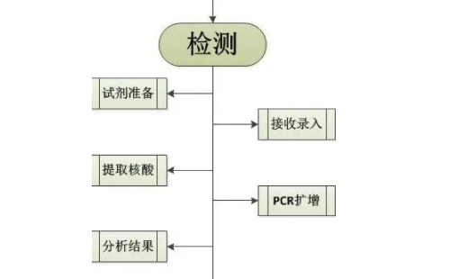 2022武漢哪里可以免費(fèi)做核酸檢測(cè)（各區(qū)匯總）