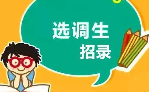 湖北省選調(diào)生招錄2022年公告