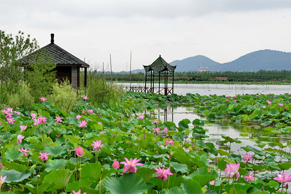 未標(biāo)題-3恢復(fù)的.jpg