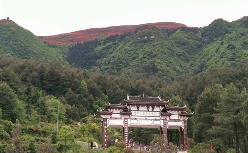 龍泉山2.jpg