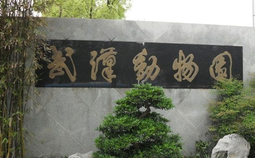 武漢動(dòng)物園內(nèi)可以帶寵物進(jìn)嗎