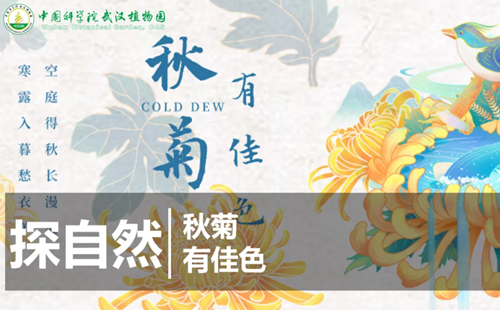 武漢植物園12月15日探自然活動(dòng)報(bào)名方法