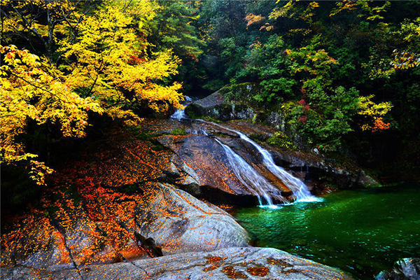 國(guó)內(nèi)哪里賞紅葉最好 光霧山適合賞紅葉嗎