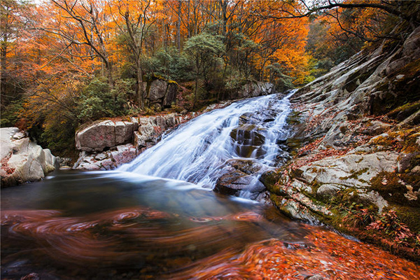 光霧山有哪些景點(diǎn) 去光霧山旅游除了賞紅葉還能干什么