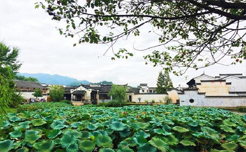 安徽徽州呈坎游玩攻略 武漢去呈坎旅游怎么坐車(含交通+住宿+門票)