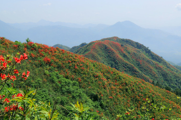 武漢去武功山的旅游攻略 武功山有哪些好玩的景點(diǎn)(開(kāi)放時(shí)間+門(mén)票+交通)