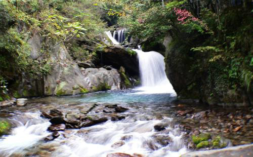 湖北神農(nóng)架旅游景區(qū)10-12月門票優(yōu)惠詳情(含旅游攻略)