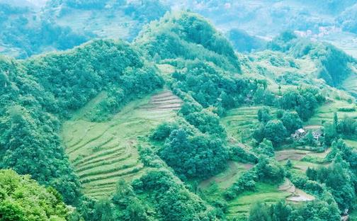 恩施蘇馬蕩景區(qū)在哪里 海拔多少米景點推薦