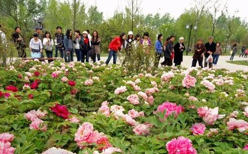 湖南省森林植物園門票價格(地址+花期+交通+開放時間)