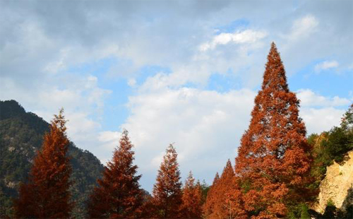 杭州大明山景區(qū)門票及優(yōu)惠政策2020_開放了嗎_滑雪場價(jià)格