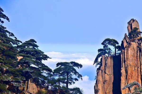 武漢五一去安徽黃山旅游要注意什么_會限流嗎_旅游路線推薦