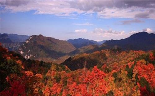 2020年光霧山紅葉節(jié)（時間+地點+路線） 最佳看楓葉的地方