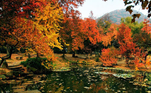 蘇州天平山門票多少錢 要預(yù)約嗎