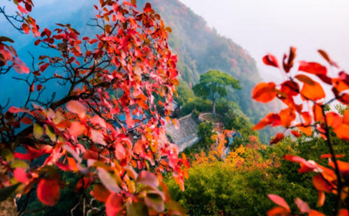 西安翠華山紅葉幾月份去看最好