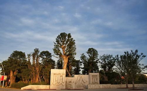 顧村公園門票能退嗎 顧村公園門票退票流程2021