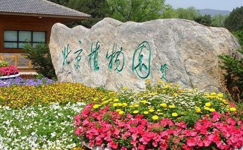 2021北京植物園現(xiàn)在有什么花(附賞花時間表)