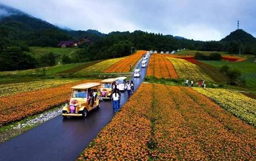 紅池壩國(guó)家森林公園游玩攻略2021