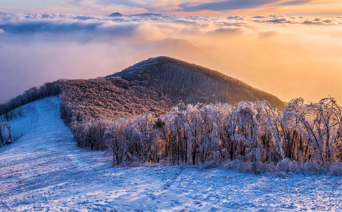 雪景1.jpg