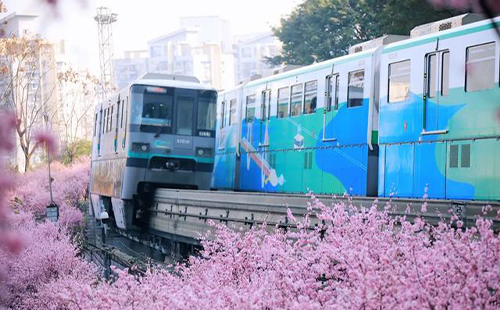 重慶開(kāi)往春天的列車在哪里_幾月份最佳