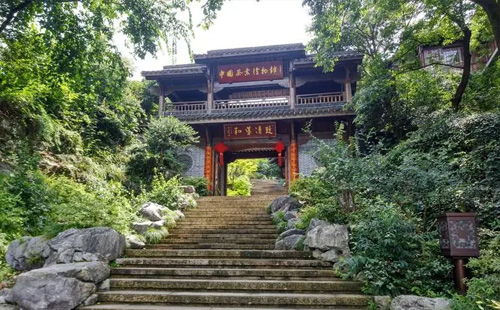 中國茶葉博物館要預(yù)約嗎（預(yù)約入口+兩館地址）