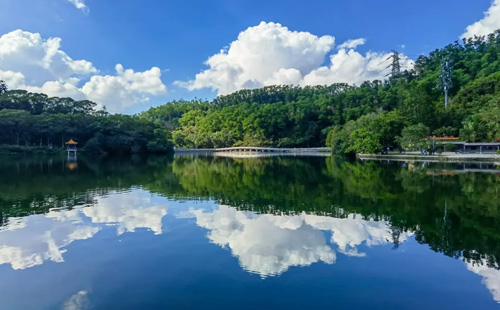 深圳仙湖植物園離地鐵站有多遠(yuǎn)