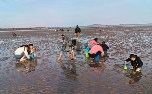 青島趕海最佳地點和時間2024時間表