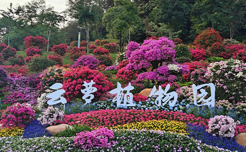 廣州云蘿植物園地址+開放時間+門票價格