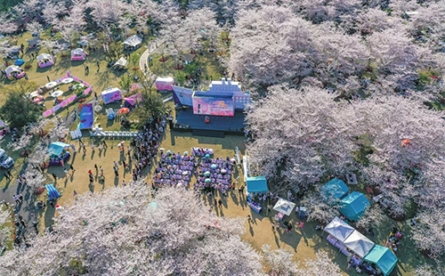 上海顧村公園門票價(jià)格和免費(fèi)政策2025