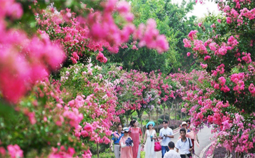 武漢推出工會(huì)會(huì)員公園年票受追捧