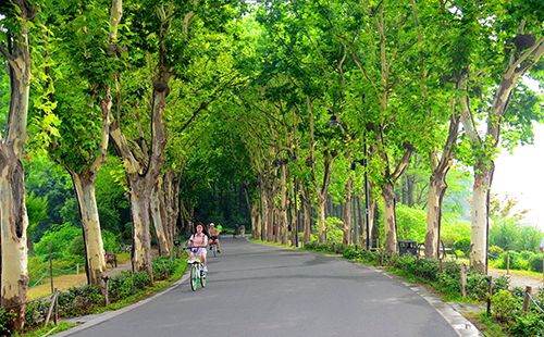 2019漢馬賽道有哪些風(fēng)景 漢馬賽道風(fēng)景盤(pán)點(diǎn)