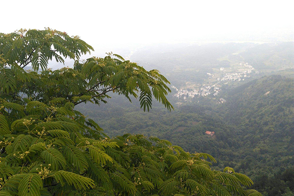 五一武漢勞動(dòng)者旅游優(yōu)惠 勞動(dòng)模范憑證暢游景區(qū)