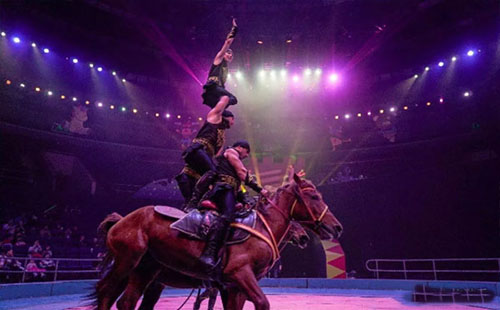 武漢馬戲團表演在哪里 武漢馬戲團門票多少錢