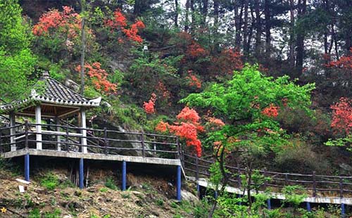 2019武漢旅游惠民券預(yù)約怎么搶票(怎么領(lǐng)取)