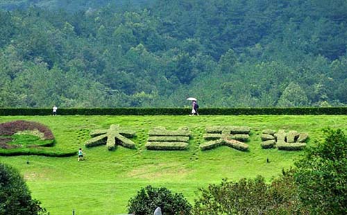 武漢旅游免費惠民券景點包括哪些（怎么搶）