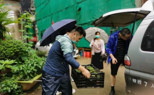 本周武漢植物園贈菊苗社區(qū)名單