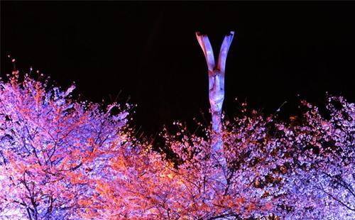 武漢有哪些可以看夜景的山