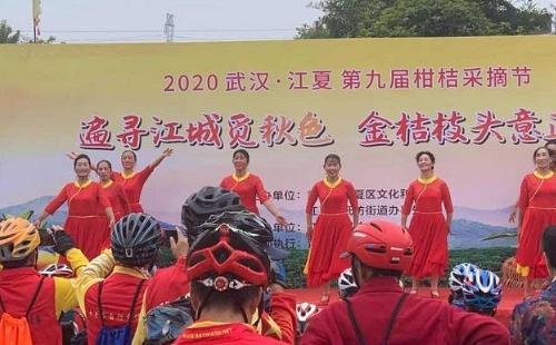 2020武漢江夏柑桔采摘節(jié)活動(dòng)時(shí)間內(nèi)容_第八屆江夏柑桔采摘節(jié)