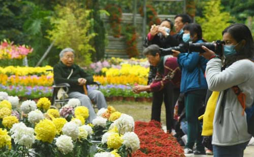 武漢解放公園菊花展2020什么時(shí)候開展