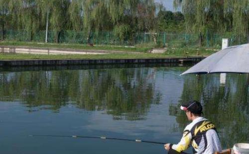 武漢江夏區(qū)釣魚(yú)場(chǎng)推薦