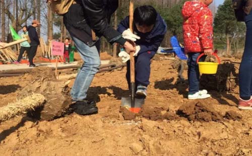 2021年武漢植樹(shù)節(jié)活動(dòng)哪里可以種樹(shù)